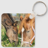 Porte-clés Animaux de bébés cutest | Colt à cheval (Dos)