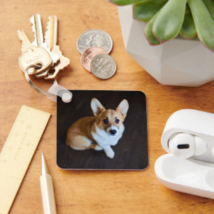 Porte-clés Animaux de bébés cutest Corgi levant les yeux