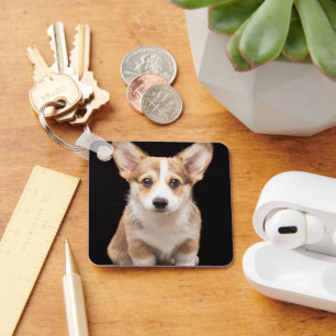 Porte-clés Animaux de bébés cutest Corgi Puppy Standing Hau