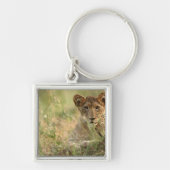 Porte-clés Animaux de bébés cutest | Cute Baby Lion Cub (Devant)