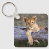 Porte-clés Animaux de bébés cutest | Cute Lion Cub (Recto)