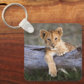 Porte-clés Animaux de bébés cutest | Cute Lion Cub (Recto)