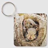 Porte-clés Animaux de bébés cutest | Écureuils curieux (Recto)