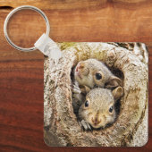 Porte-clés Animaux de bébés cutest | Écureuils curieux (Recto)