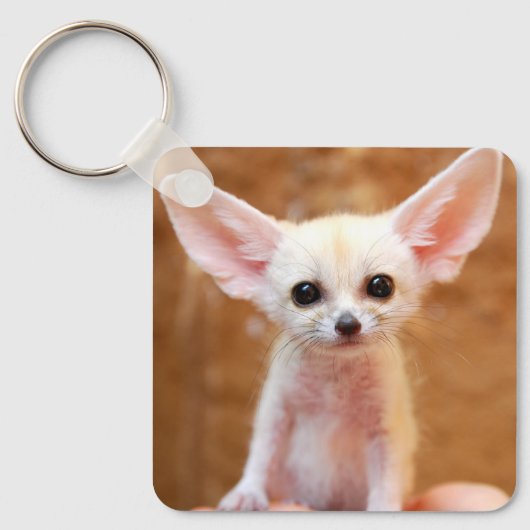 Porte-clés Animaux de bébés cutest | Fennec Fox (Recto)