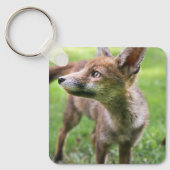Porte-clés Animaux de bébés cutest | Fox urbain (Recto)