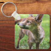 Porte-clés Animaux de bébés cutest | Fox urbain (Recto)