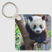 Porte-clés Animaux de bébés cutest | Géant Panda Cub (Recto)