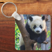 Porte-clés Animaux de bébés cutest | Géant Panda Cub (Recto)