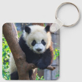Porte-clés Animaux de bébés cutest | Géant Panda Cub (Dos)