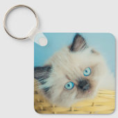 Porte-clés Animaux de bébés cutest | Himalaya Seal Point Cat (Recto)