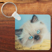 Porte-clés Animaux de bébés cutest | Himalaya Seal Point Cat (Recto)