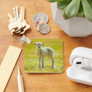 Porte-clés Animaux de bébés cutest   Jeune mouton