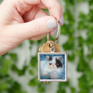 Porte-clés Animaux de bébés cutest Kitten noir et blanc