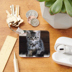 Porte-clés Animaux de bébés cutest Kitten sur Touches de pi