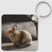 Porte-clés Animaux de bébés cutest | Lapin nain de Pays-Bas (Dos)