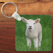 Porte-clés Animaux de bébés cutest | Lil Lamb (Recto)