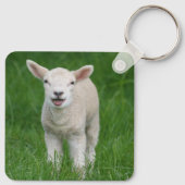 Porte-clés Animaux de bébés cutest | Lil Lamb (Dos)