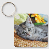 Porte-clés Animaux de bébés cutest | Lounge Kitten (Recto)