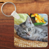 Porte-clés Animaux de bébés cutest | Lounge Kitten (Recto)