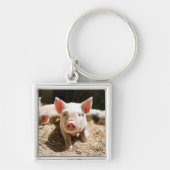 Porte-clés Animaux de bébés cutest | Piglet bébé mignon (Devant)