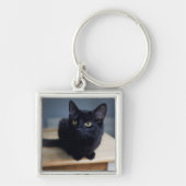 Porte-clés Animaux de bébés cutest | Portrait d'un chat noir (Devant)