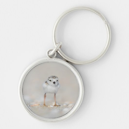 Porte-clés Animaux de bébés cutest | Poussette de tuyauterie (Devant)