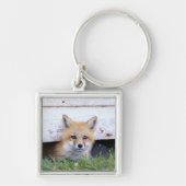 Porte-clés Animaux de bébés cutest | Red Fox Kit Peeking (Devant)