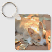 Porte-clés Animaux de bébés cutest | Shy Corgi (Recto)