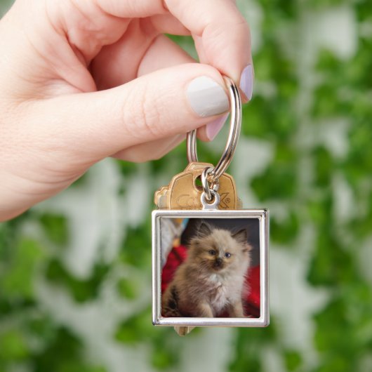 Porte-clés Animaux de bébés cutest | Siamese Kitten (main)