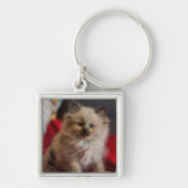 Porte-clés Animaux de bébés cutest | Siamese Kitten (Devant)