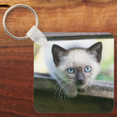 Porte-clés Animaux de bébés cutest | Siamese Kitten 2 (Recto)