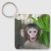 Porte-clés Animaux de bébés cutest | Singe des neiges surpris (Recto)