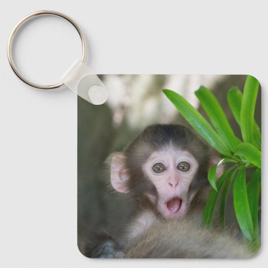 Porte-clés Animaux de bébés cutest | Singe des neiges surpris (Recto)