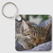 Porte-clés Animaux de bébés cutest | Tabby Kitten Sommeil (Recto)