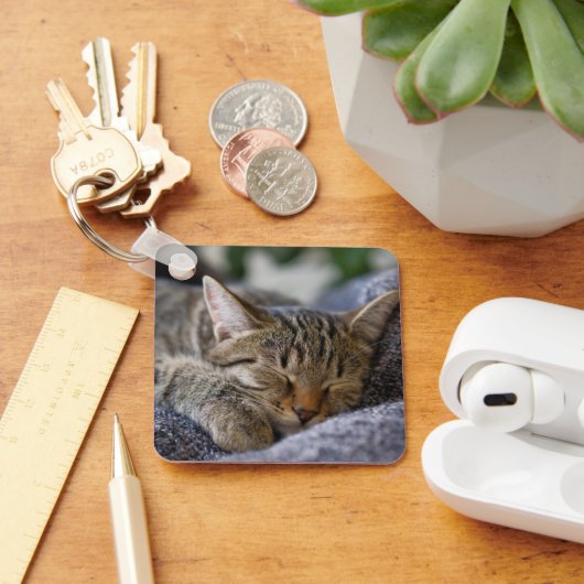 Porte-clés Animaux de bébés cutest | Tabby Kitten Sommeil (Bureau)