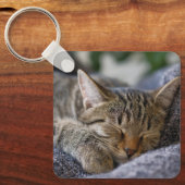 Porte-clés Animaux de bébés cutest | Tabby Kitten Sommeil (Recto)