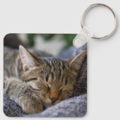 Porte-clés Animaux de bébés cutest | Tabby Kitten Sommeil (Dos)