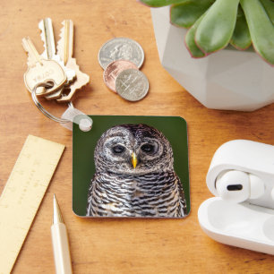 Porte-clés Animaux de bébés cutest Tawny Owl