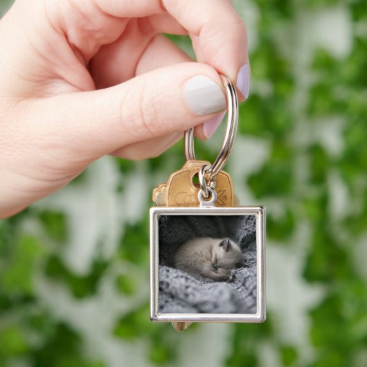 Porte-clés Animaux de bébés cutest | Tiny Kitten Dormir (main)
