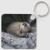 Porte-clés Animaux de bébés cutest | Tiny Kitten Dormir (Dos)