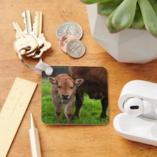 Porte-clés Animaux de bébés cutest   Vache et veau