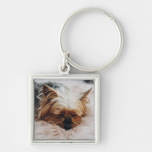 Porte-clés Animaux de bébés cutest | Yorkshire Terrier (Devant)
