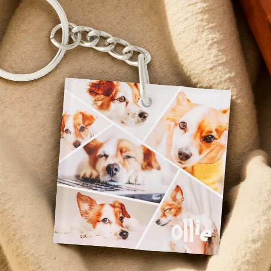 Porte-clés Animaux de compagnie Moderne Simple Personnalisé 6