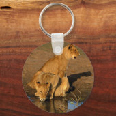 Porte-clés animaux sauvages 300 (Recto)