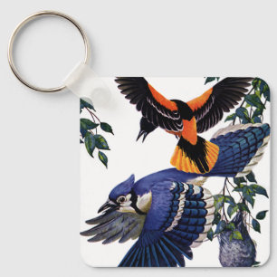 Porte-clés Animaux sauvages vintages Oiseaux, Jays Bleus Vola