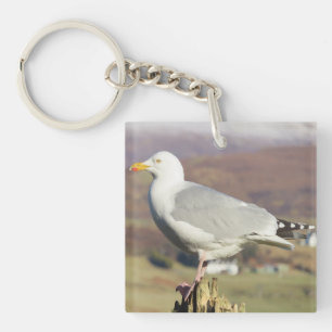 Porte-clés Anneau de clés Mouette Élégante Unique Debout Déta