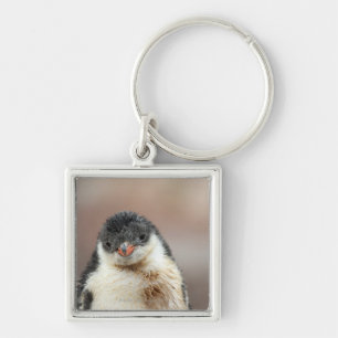 Porte-clés Antarctique