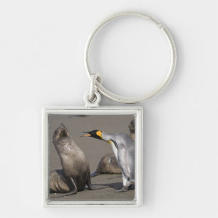 Porte-clés Antarctique, île de Géorgie du Sud (Royaume-Uni),