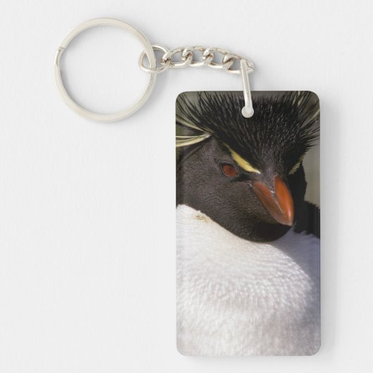 Porte-clés Antarctique, îles subantarctiques, Sud 5 (Devant)